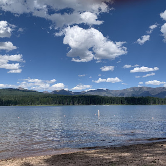 Meet your Posher, Kellan - Picture 1 of 1